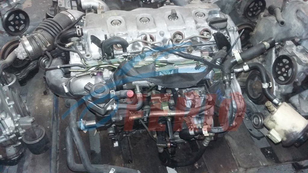 Двигатель для Nissan Almera (N16) 2.2d (YD22DDT 112hp) FWD MT