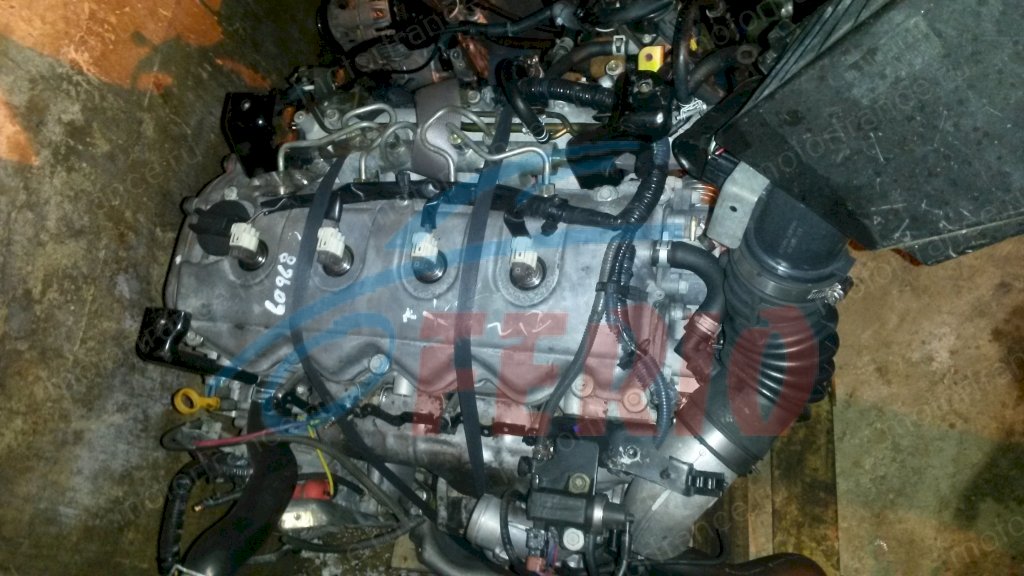 Двигатель для Nissan X-Trail (T30) 2007 2.2d (YD22DDTI 136hp) 4WD MT