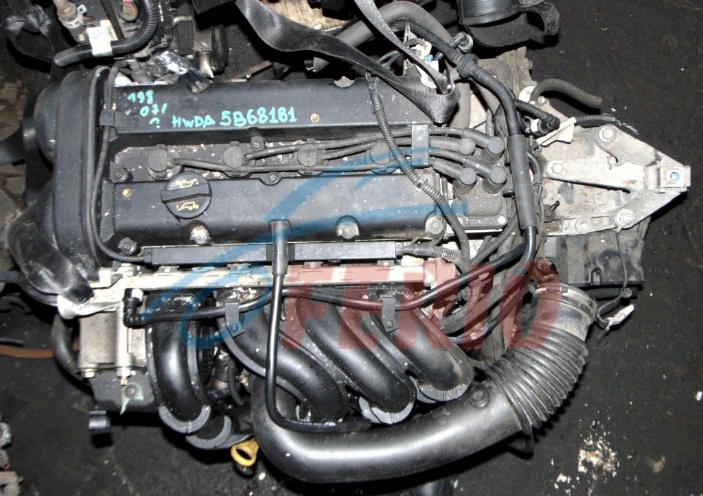 Двигатель для Ford Focus (DA_) 1.6 (HWDA 100hp) FWD AT