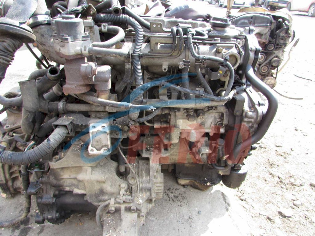 Двигатель для Nissan Navara (D40) 2010 2.5d (YD25DDTI 190hp) 4WD MT