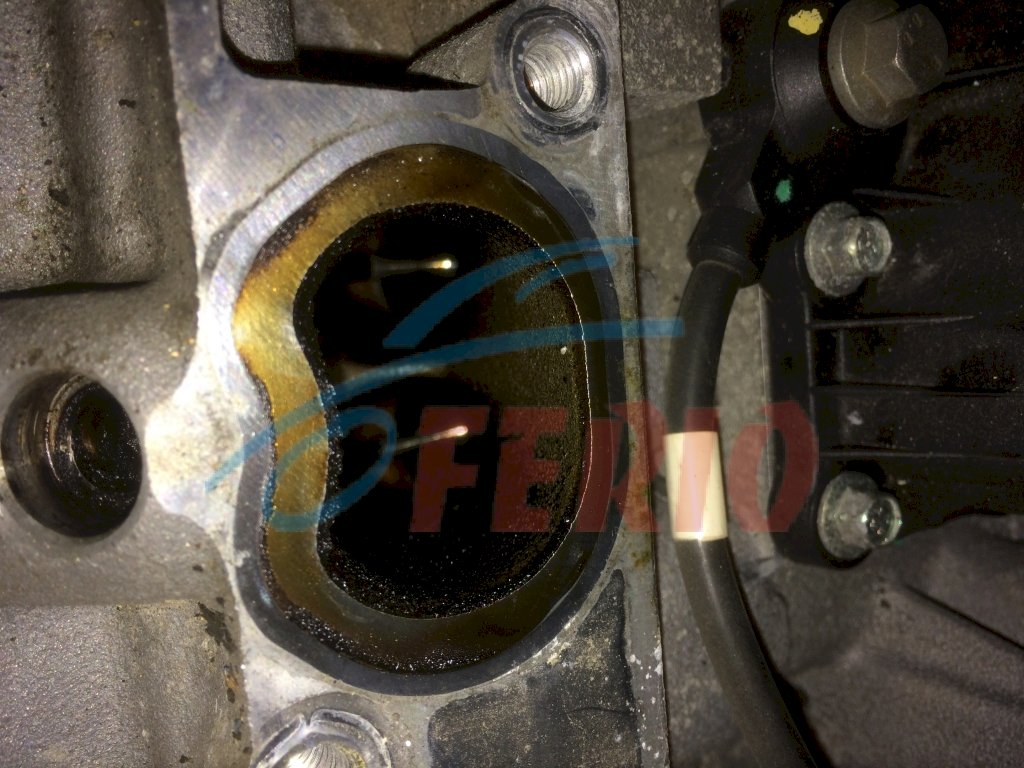 Двигатель (с навесным) для Ford Fusion (JU_) 2004 1.4 (FXJA 80hp) FWD AT