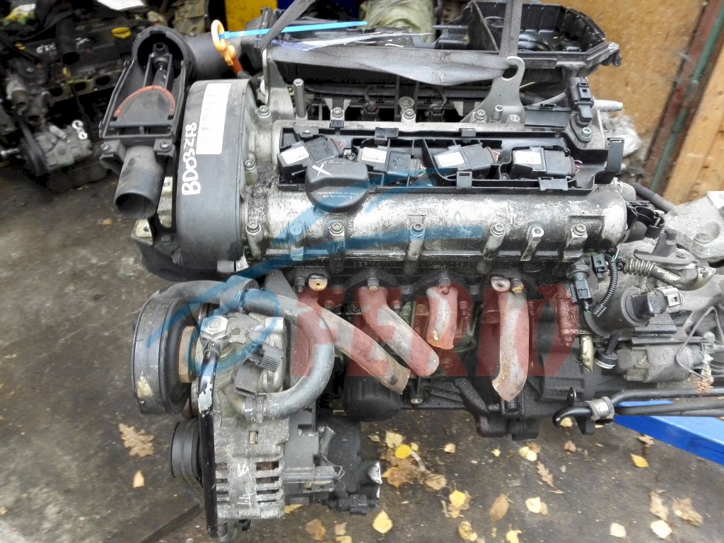 Двигатель (с навесным) для Volkswagen New Beetle 2003 1.4 (BCA 75hp) FWD MT