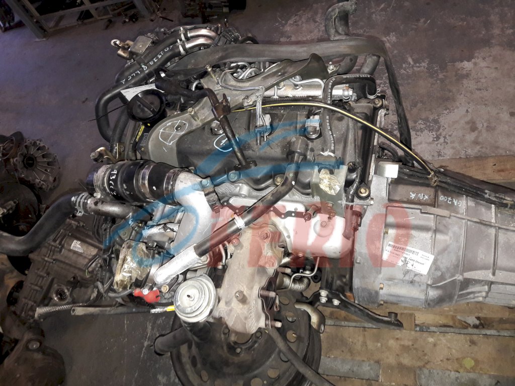 Двигатель для Nissan Pathfinder (R51) 2011 2.5d (YD25DDTI 190hp) 4WD AT