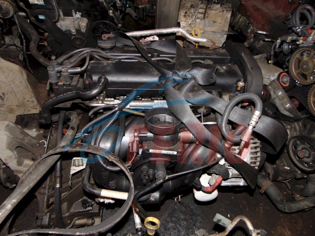 Двигатель для Ford Focus (DNW) 2002 1.8 (EYDB 115hp) FWD MT